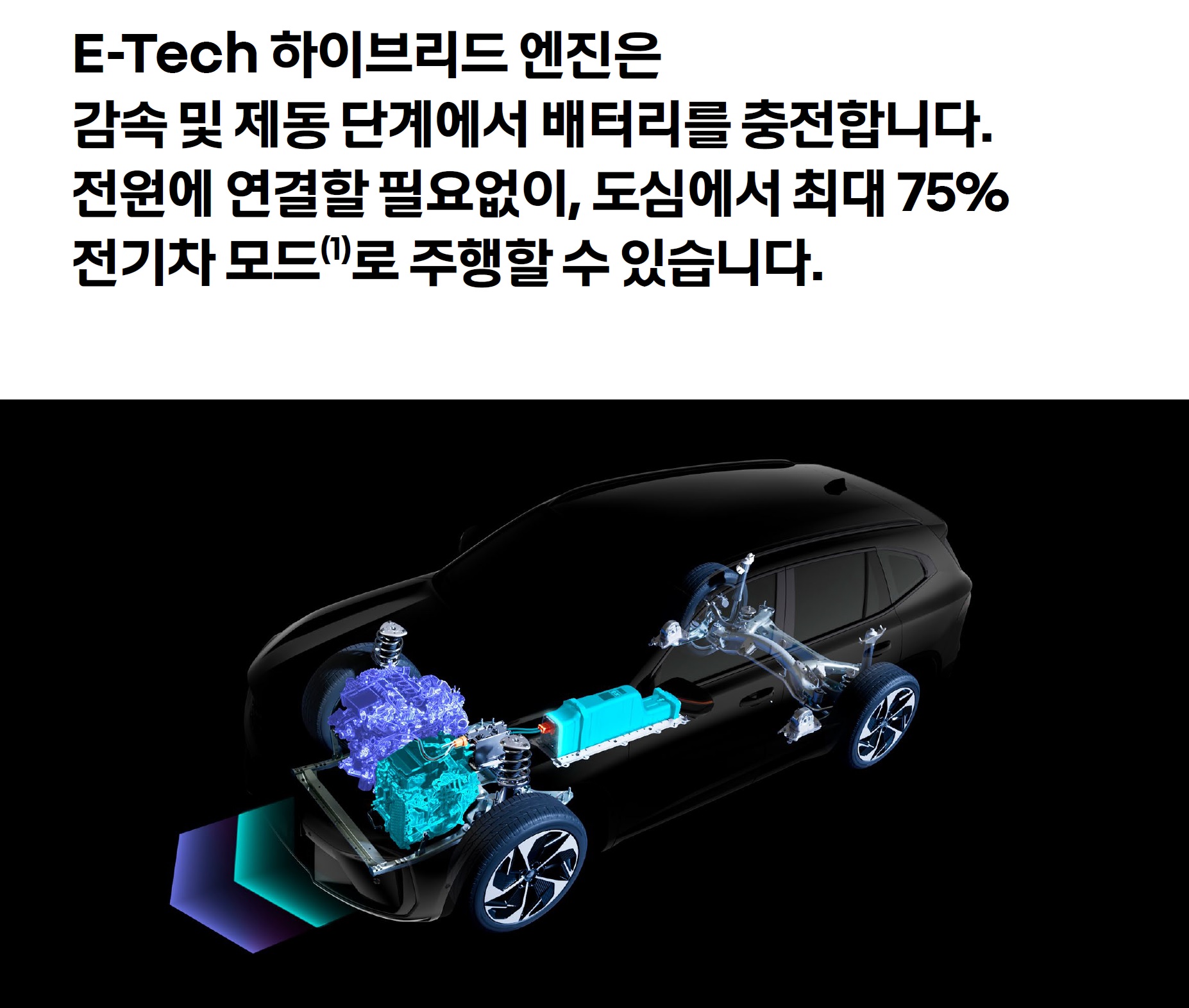 그랑콜레오스 카탈로그 - 2024년 09월 -25.jpg